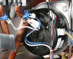 bs activ thrs in situ.gif